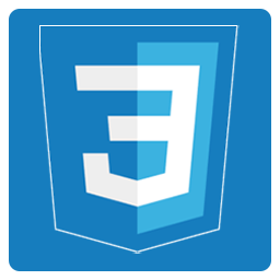 CSS CSS